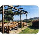 Agriturismo L'Orto dei Nonni - Cavatore