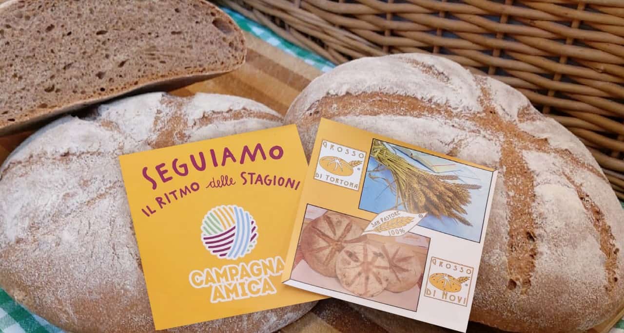 Mercato di Campagna Amica